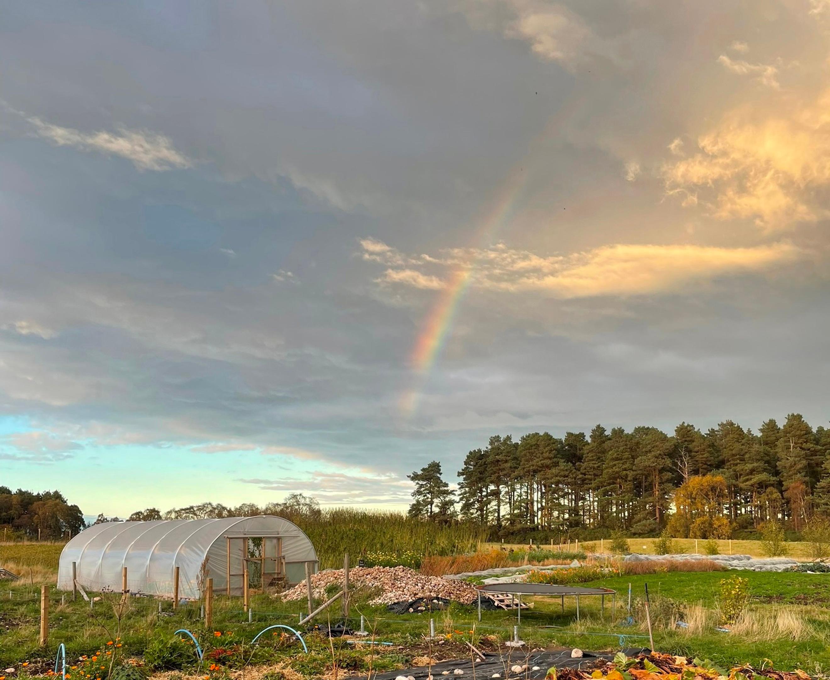 Supporter Annual Membership