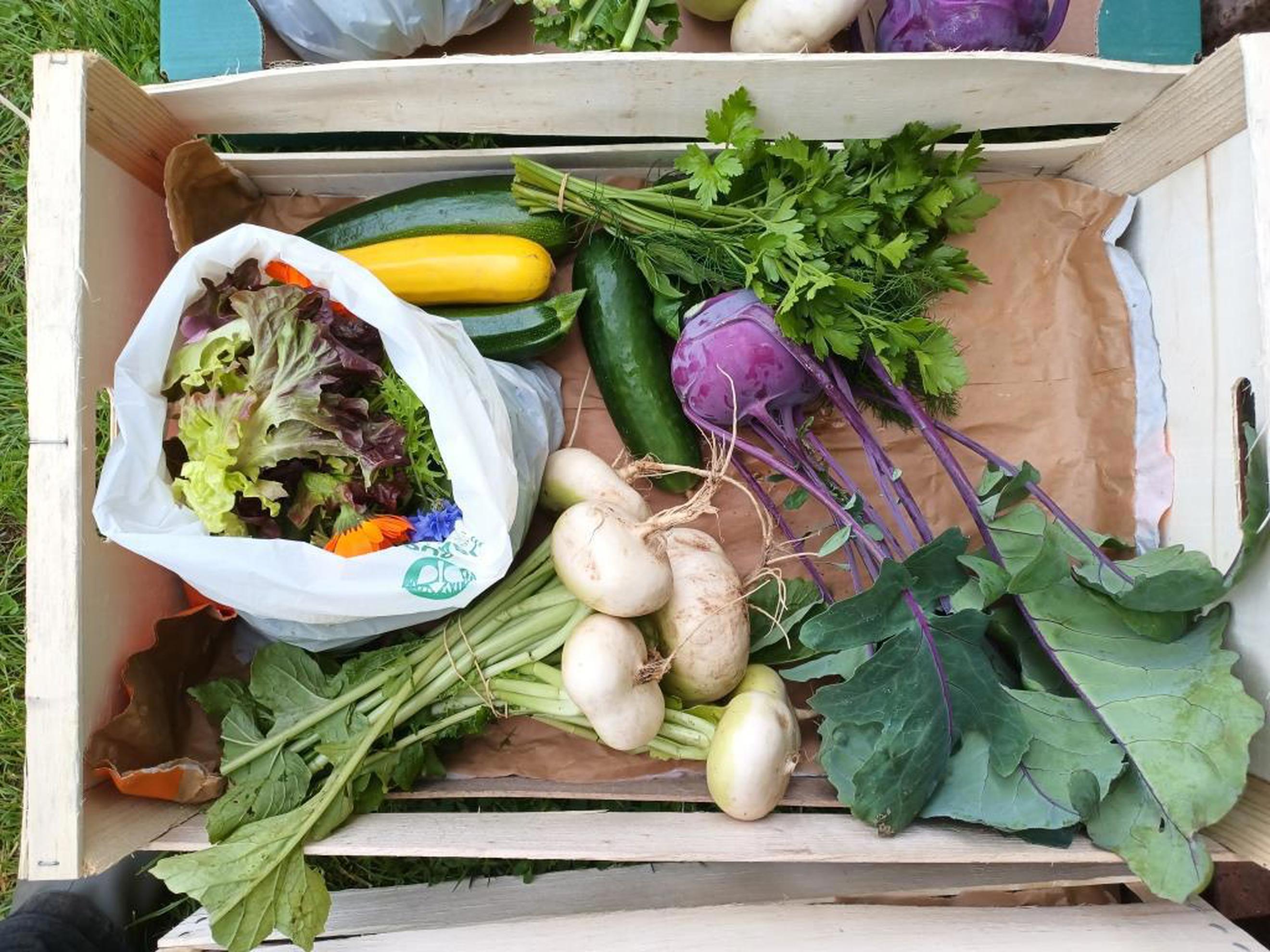 Small Veg Box