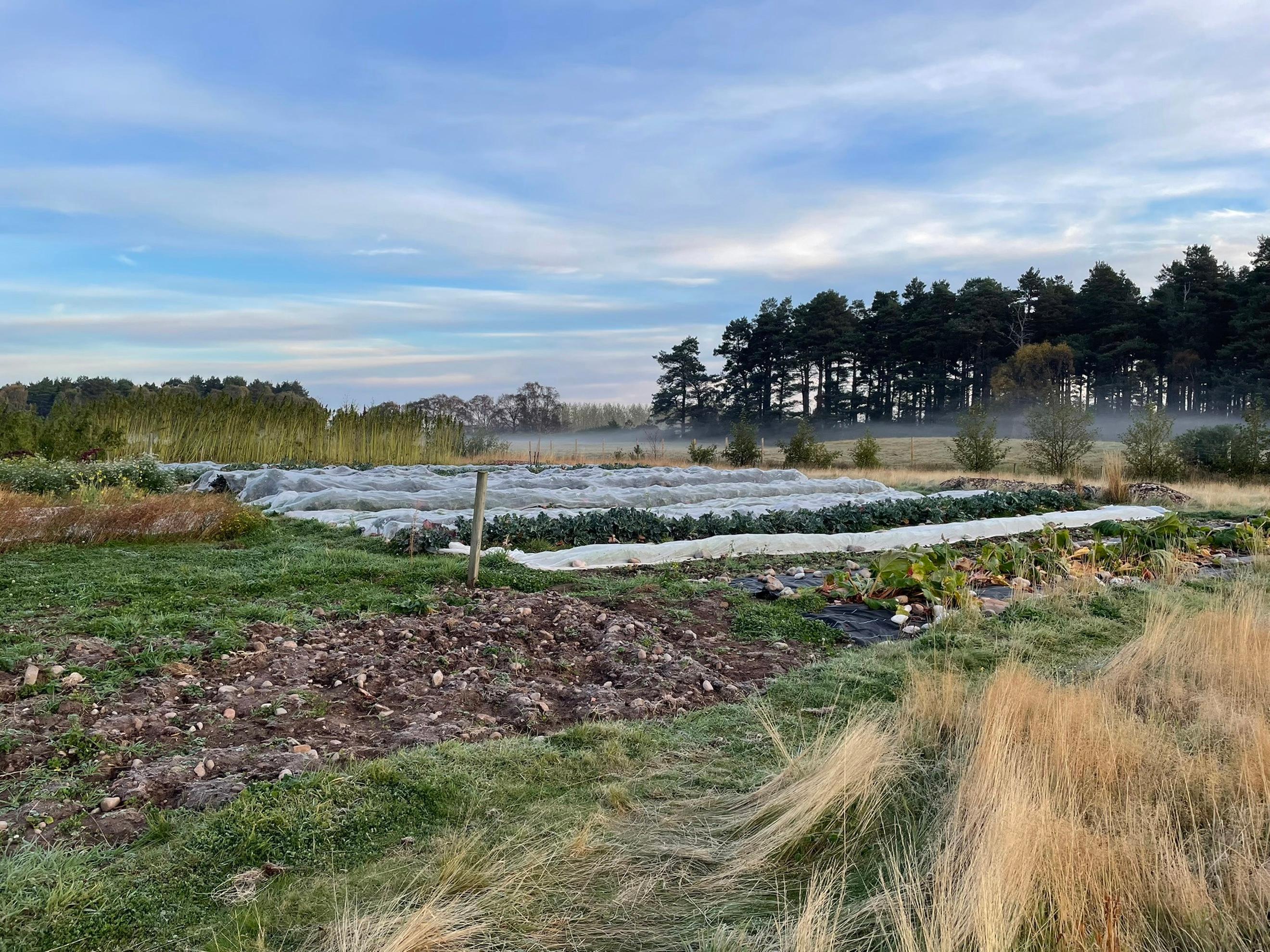 Regular Annual Membership