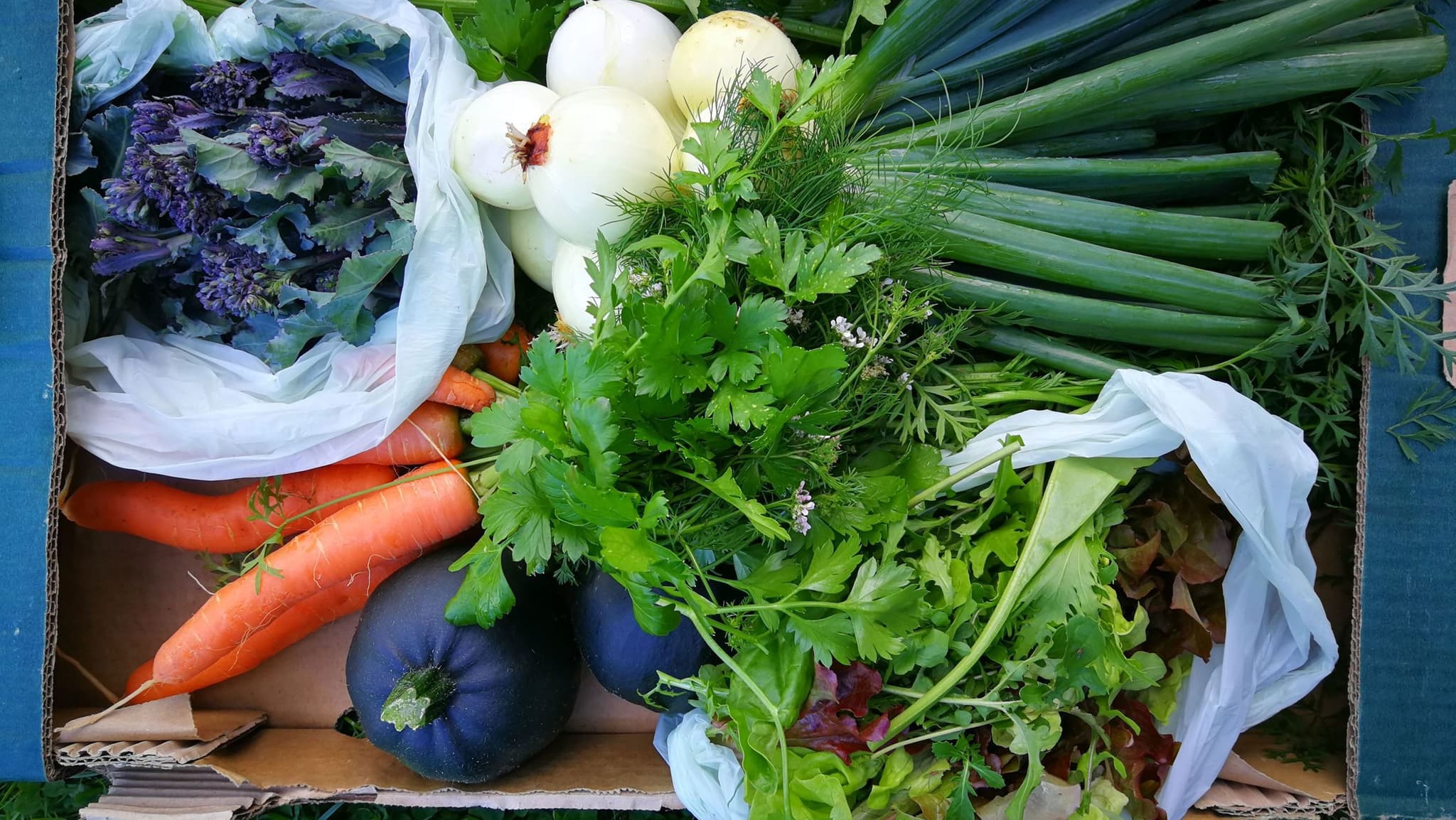 Large Veg Box