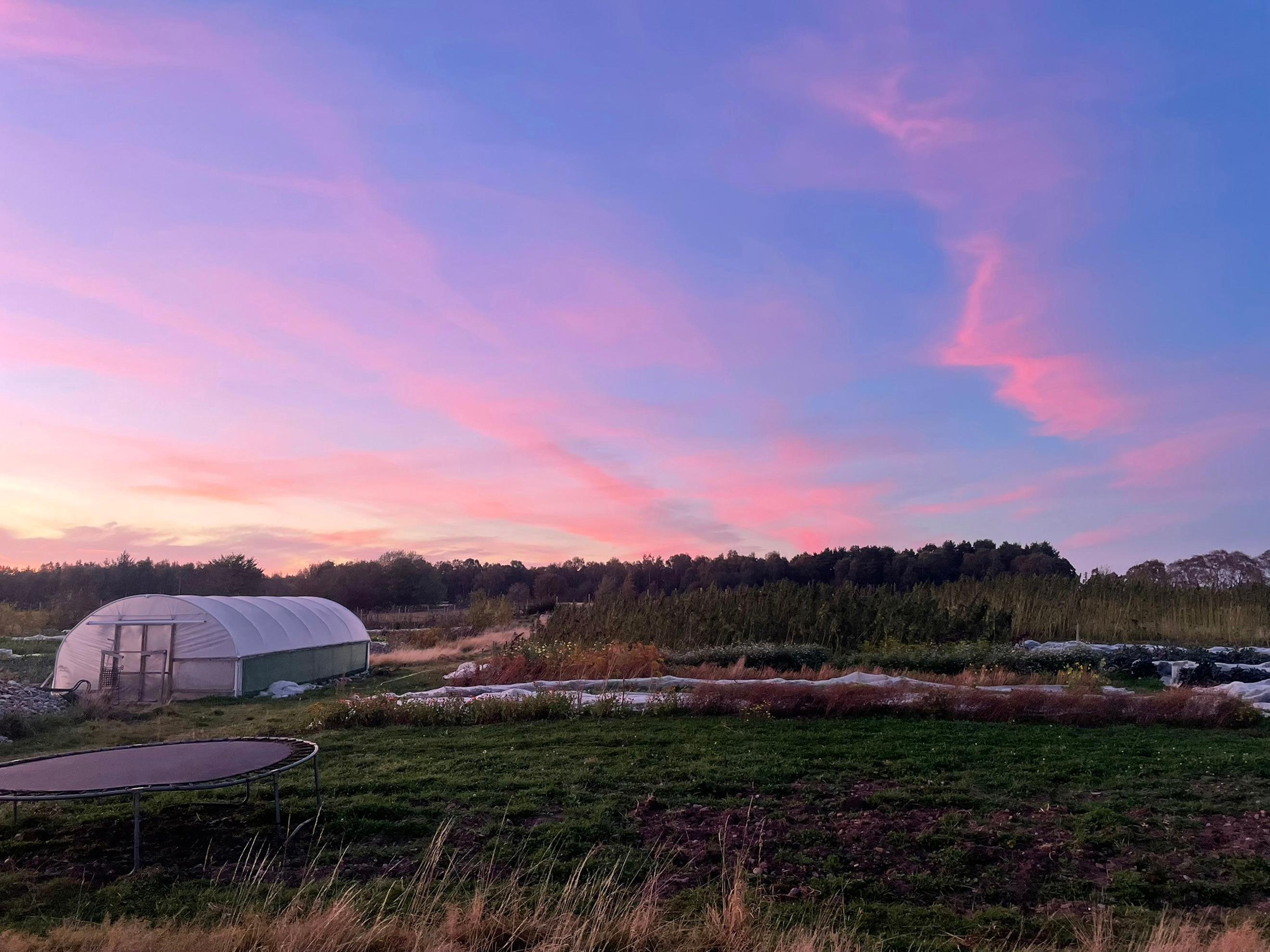 Solidarity Annual Membership